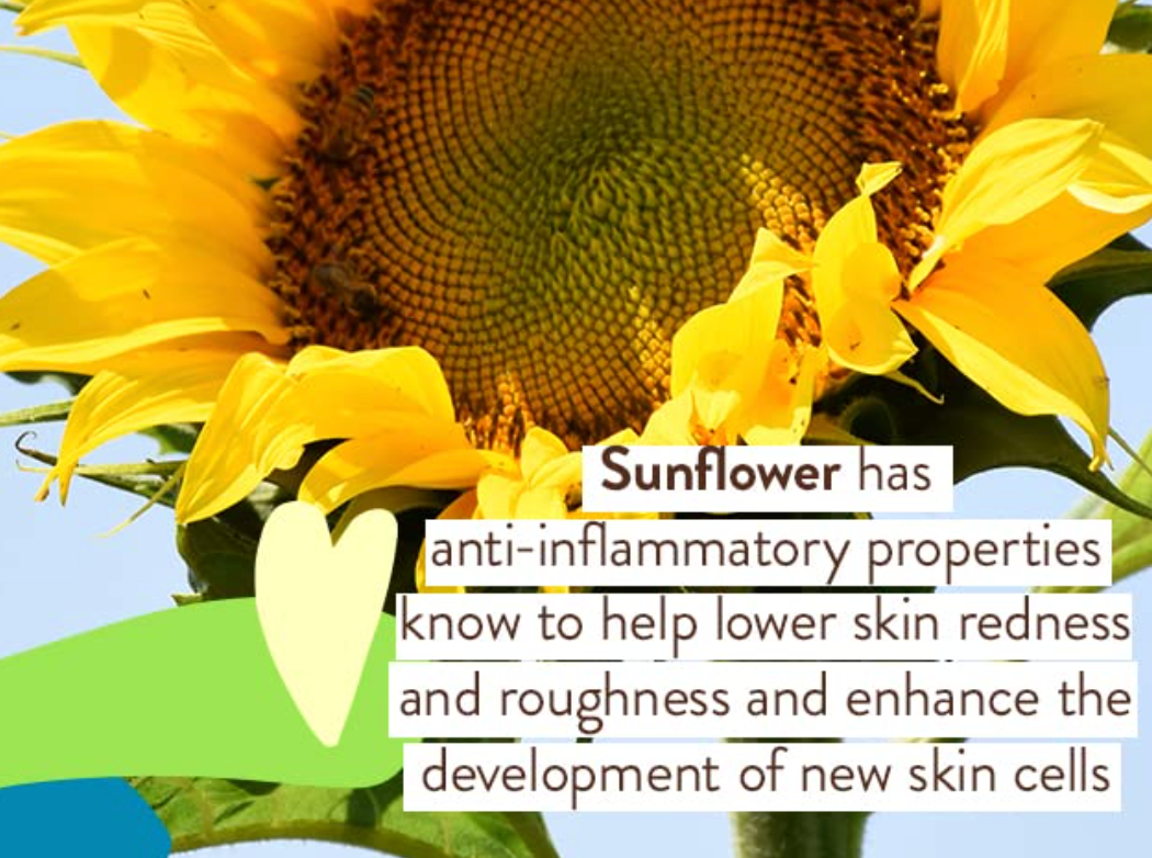 Sheer Mineral Sunscreen SPF 50