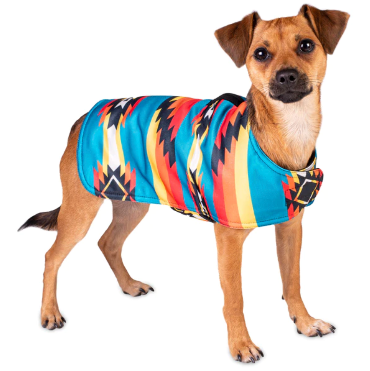 Southwestern Dog Poncho
