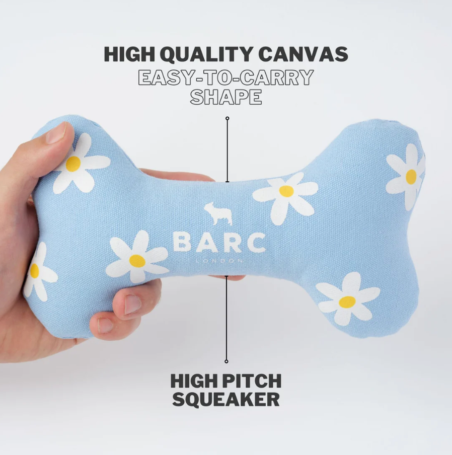 Daisy Squeaky Dog Bone Toy