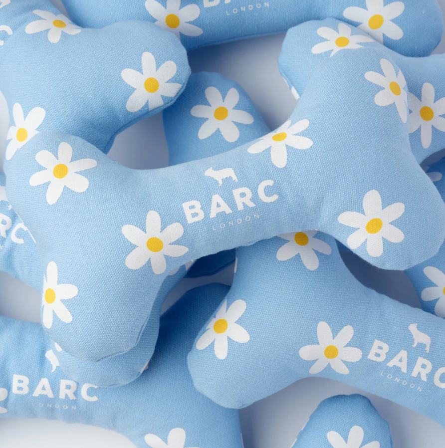 Daisy Squeaky Dog Bone Toy