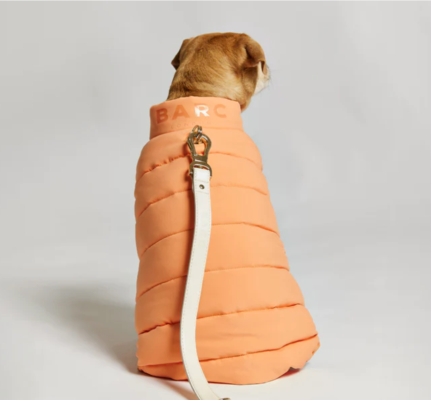 Reversible Dog Puffer Jacket