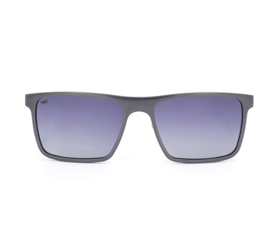 Nova Sunglasses