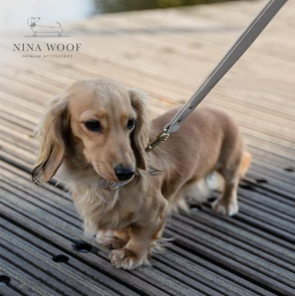 Cupertino Vegan Dog Leash