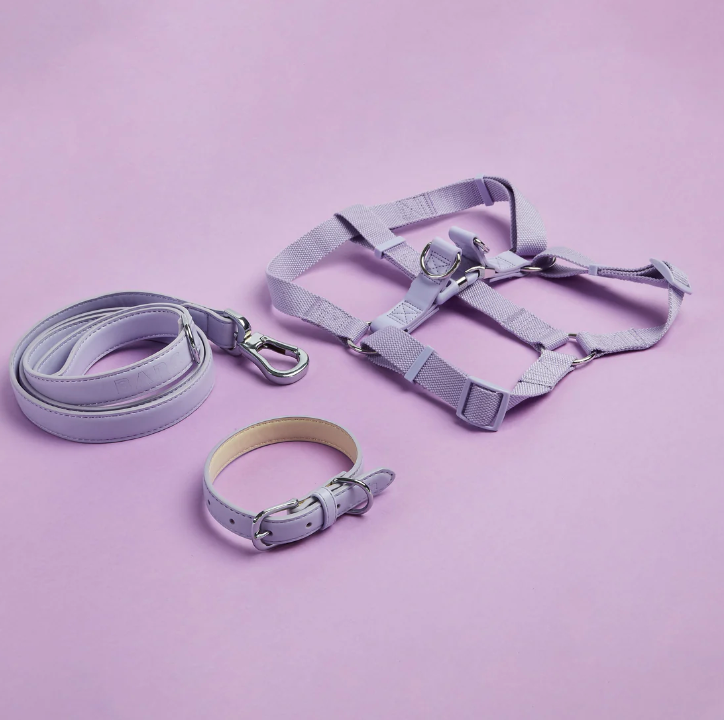 Dog Harness and City Lead Set