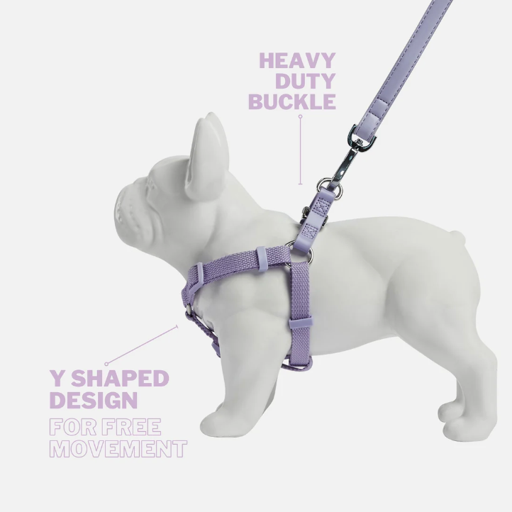 Dog Harness and City Lead Set