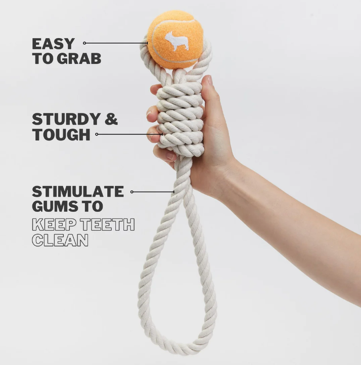 Tennis Ball and Rope Tug Toy