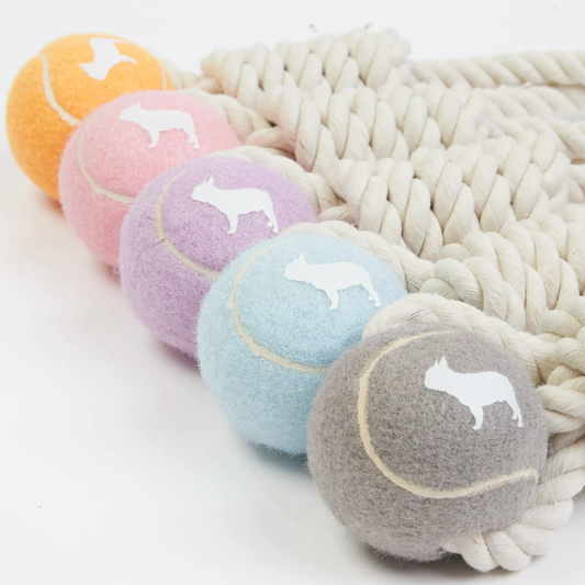Tennis Ball and Rope Tug Toy