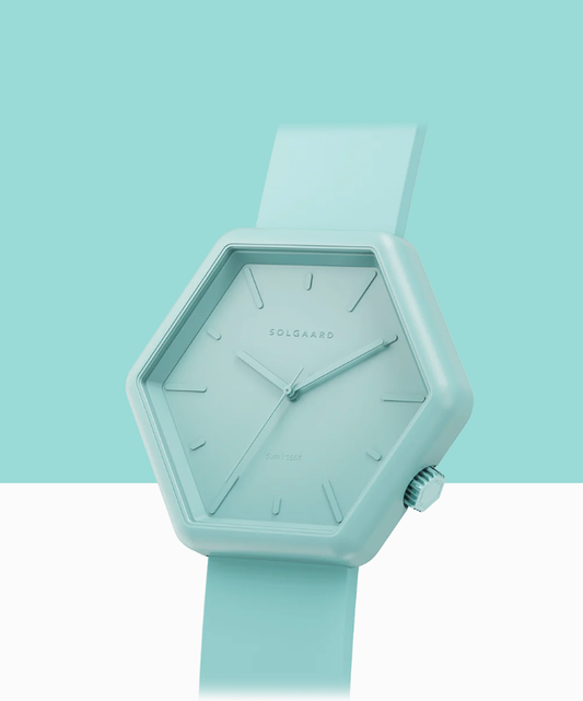 Shoreline Watch