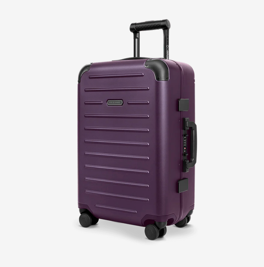 Carry-On Closet Suitcase