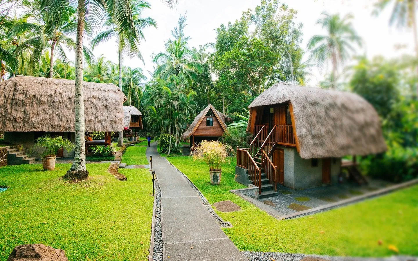 The Farm at San Benito, Lipa City, Philippines