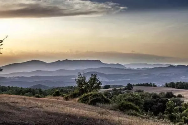 Casa Albets Organic and Vegan Luxury Hotel, Spain