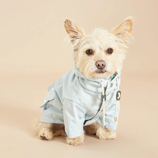 Designer Dog Raincoat