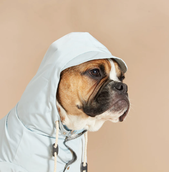 Designer Dog Raincoat
